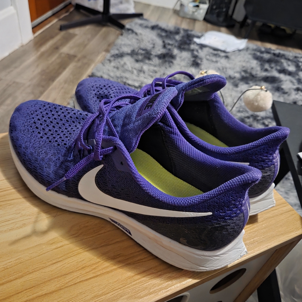 Nike Mens Purple Running Shoes